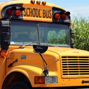 School Bus